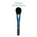 10Pcs Glitter Sapphire Blue Cosmetic Brush Kit Bag